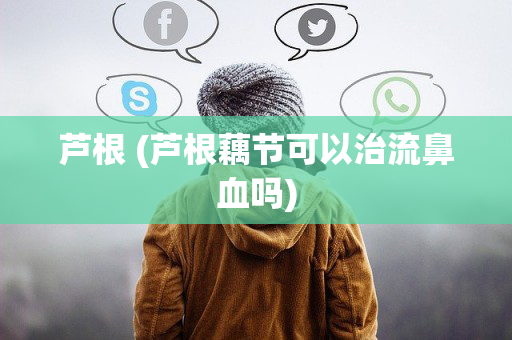 芦根 (芦根藕节可以治流鼻血吗)