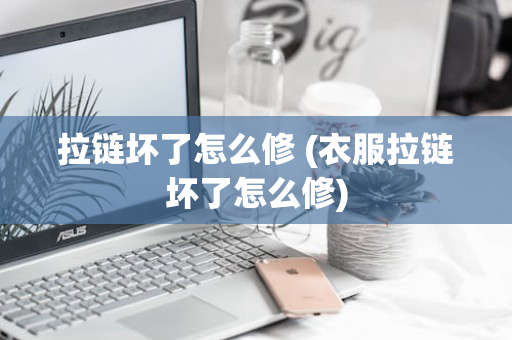 拉链坏了怎么修 (衣服拉链坏了怎么修)