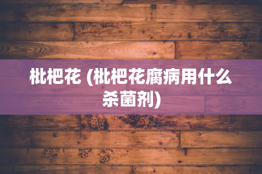 枇杷花 (枇杷花腐病用什么杀菌剂)