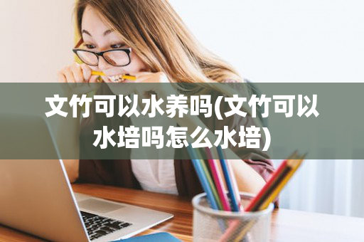 文竹可以水养吗(文竹可以水培吗怎么水培)