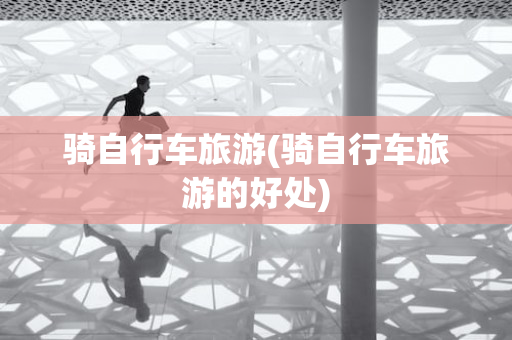 骑自行车旅游(骑自行车旅游的好处)