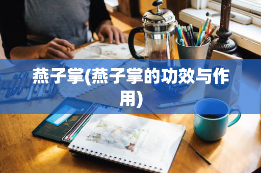 燕子掌(燕子掌的功效与作用)
