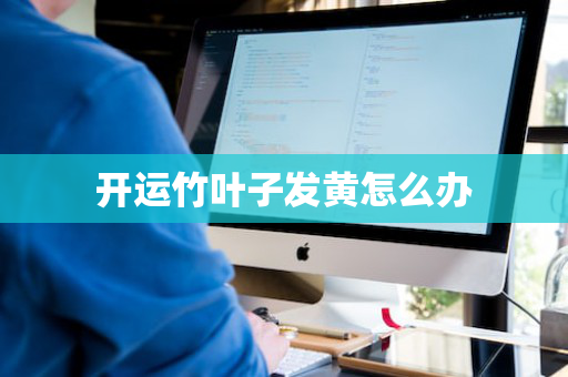 开运竹叶子发黄怎么办