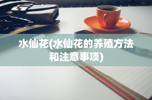 水仙花(水仙花的养殖方法和注意事项)