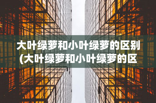 大叶绿萝和小叶绿萝的区别(大叶绿萝和小叶绿萝的区别在哪里)