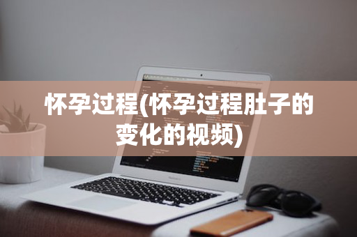 怀孕过程(怀孕过程肚子的变化的视频)