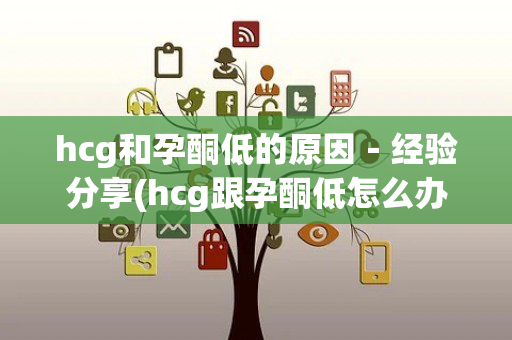 hcg和孕酮低的原因－经验分享(hcg跟孕酮低怎么办)