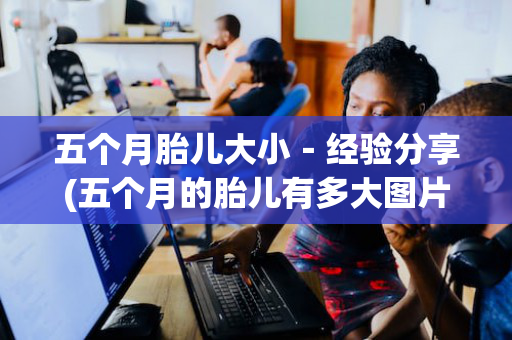 五个月胎儿大小－经验分享(五个月的胎儿有多大图片大小)