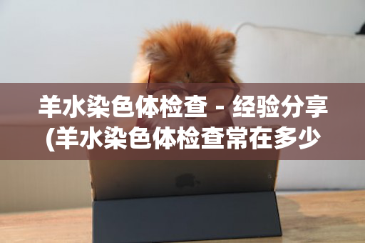 羊水染色体检查－经验分享(羊水染色体检查常在多少孕周进行)