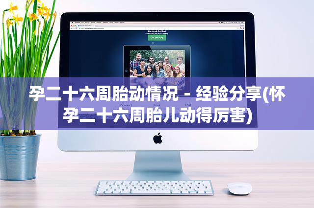 孕二十六周胎动情况－经验分享(怀孕二十六周胎儿动得厉害)