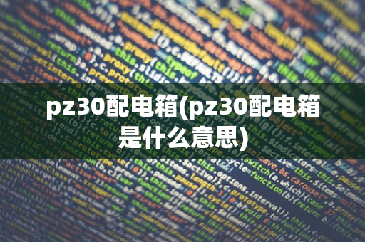 pz30配电箱(pz30配电箱是什么意思)