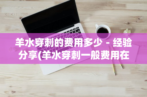 羊水穿刺的费用多少－经验分享(羊水穿刺一般费用在多少)