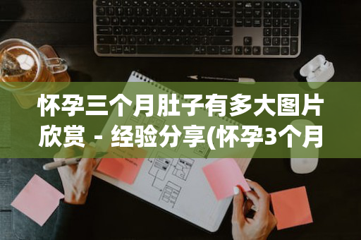 怀孕三个月肚子有多大图片欣赏－经验分享(怀孕3个月肚子有多大图片欣赏)