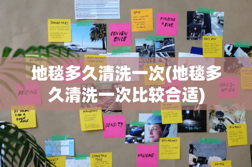 地毯多久清洗一次(地毯多久清洗一次比较合适)