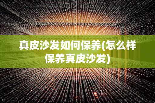 真皮沙发如何保养(怎么样保养真皮沙发)