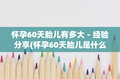 怀孕60天胎儿有多大－经验分享(怀孕60天胎儿是什么样子)