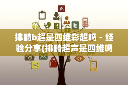 排畸b超是四维彩超吗－经验分享(排畸超声是四维吗)