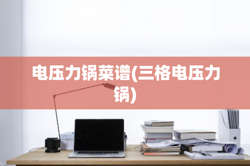 电压力锅菜谱(三格电压力锅)