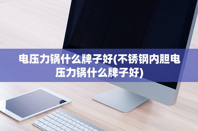 电压力锅什么牌子好(不锈钢内胆电压力锅什么牌子好)