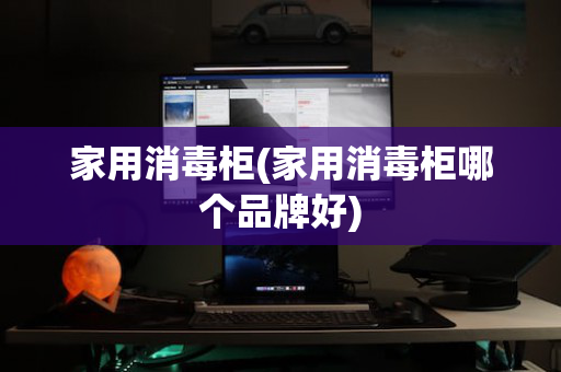 家用消毒柜(家用消毒柜哪个品牌好)