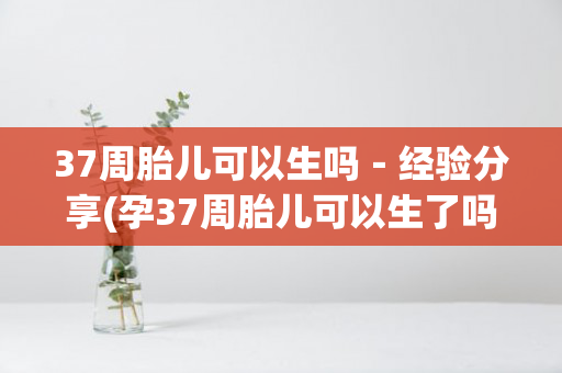 37周胎儿可以生吗－经验分享(孕37周胎儿可以生了吗)