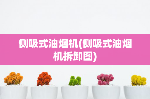 侧吸式油烟机(侧吸式油烟机拆卸图)