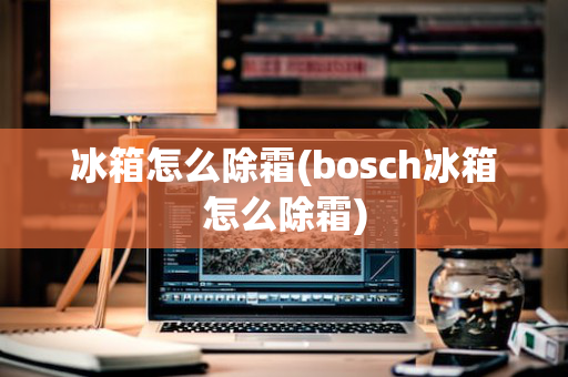 冰箱怎么除霜(bosch冰箱怎么除霜)