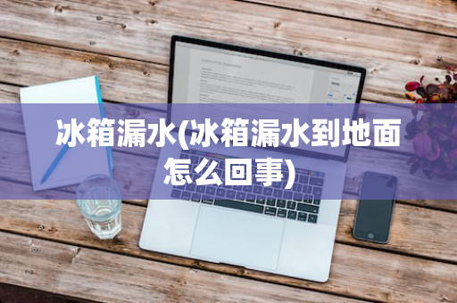 冰箱漏水(冰箱漏水到地面怎么回事)