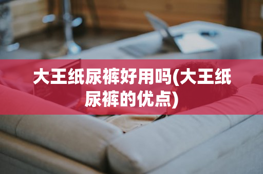 大王纸尿裤好用吗(大王纸尿裤的优点)