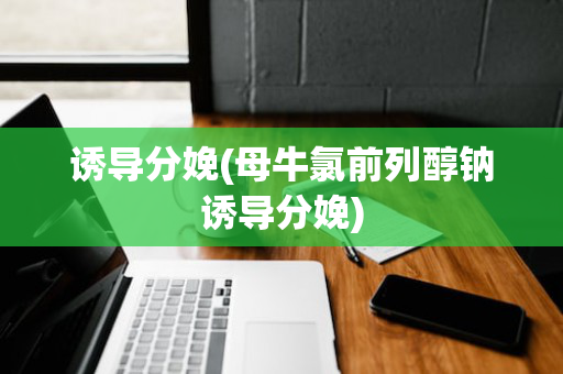 诱导分娩(母牛氯前列醇钠诱导分娩)