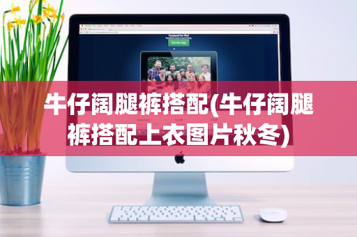 牛仔阔腿裤搭配(牛仔阔腿裤搭配上衣图片秋冬)