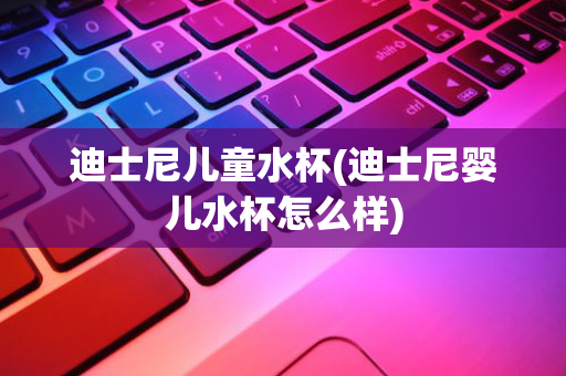 迪士尼儿童水杯(迪士尼婴儿水杯怎么样)