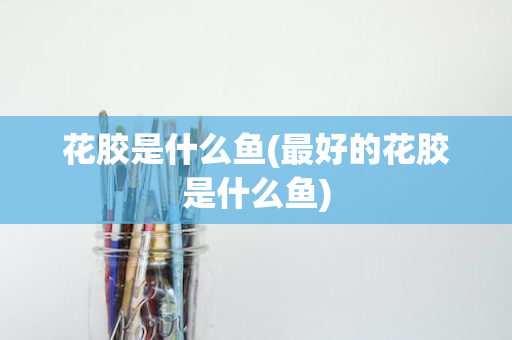 花胶是什么鱼(最好的花胶是什么鱼)